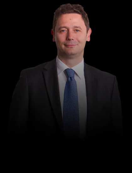 THE NEXT CEO - SERGIU MANEA